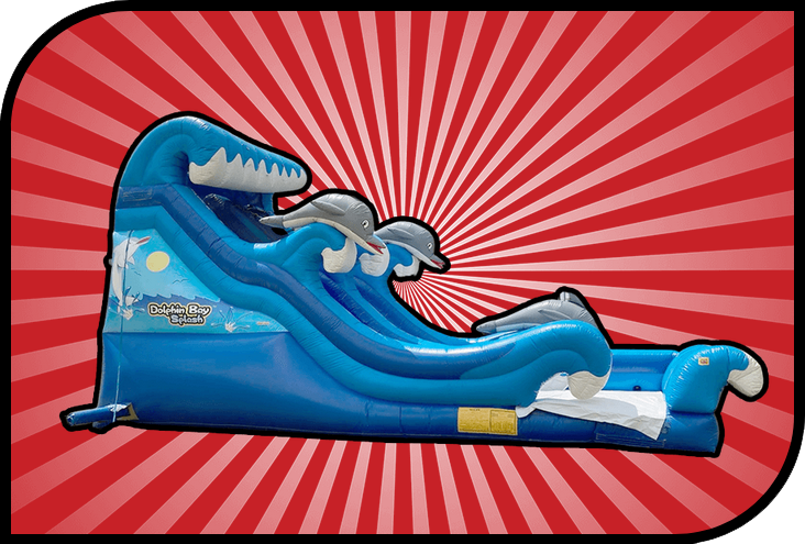 20 Ft Double Curve Water Slide