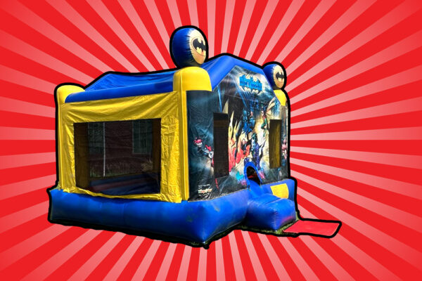 20 Ft Double Curve Water Slide