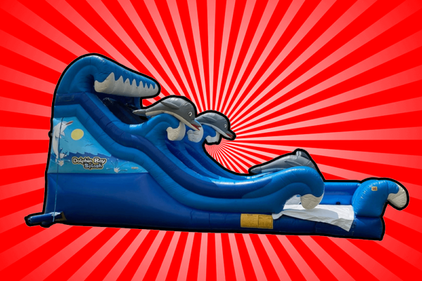 20 Ft Double Curve Water Slide