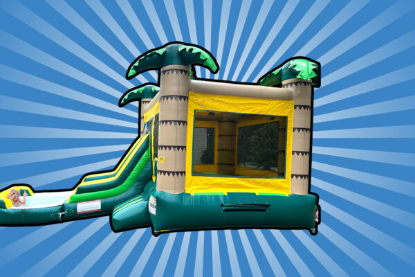 20 Ft Double Curve Water Slide